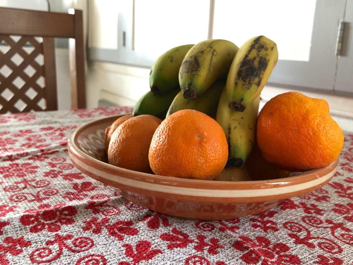 Casa Da Paz Villa Cedros Eksteriør billede
